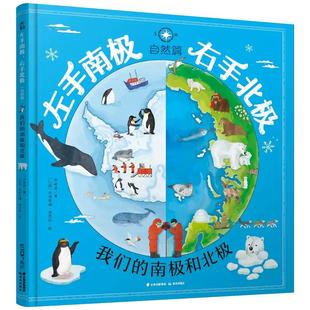 儿童科普百科绘本左手南极右手北极探险自然篇揭秘神秘南北极6-8-10岁小学生一二三年级课外阅读书籍启蒙认知图画书 赠16页小册子