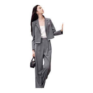 香影高级感轻职场西装套装女春秋2024新款西服外套裤子灰色两件套