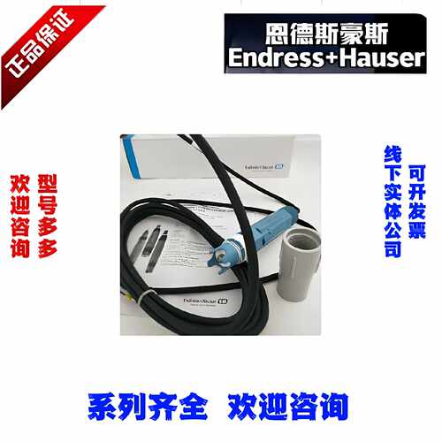 EHCPF81E-AA5LAD2 CPS11E-AA7AAS2电极恩德斯豪斯