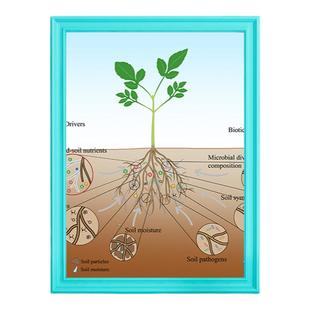 二维ppt医学动植物机械化学科研绘图代画流程图作业图解ps制作