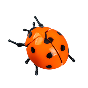 发条甲壳虫玩具儿童爬行七星瓢虫男孩宝宝仿真昆虫会爬的虫虫模型