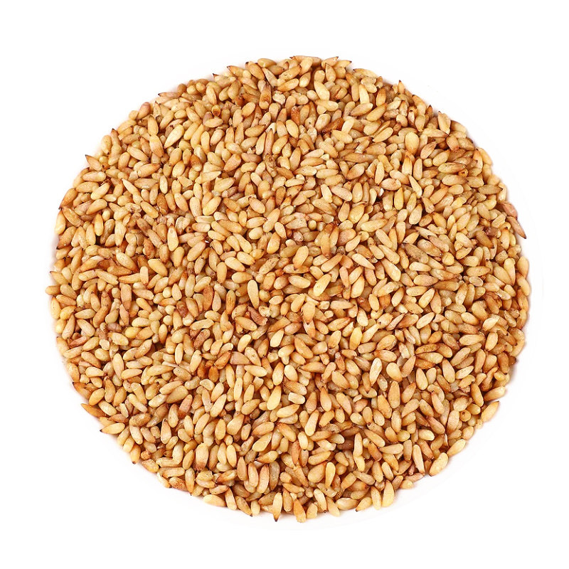 中药材柏子仁泡茶100~500克