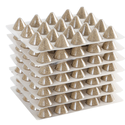 野生石磨艾塔隔姜灸脐灸艾塔