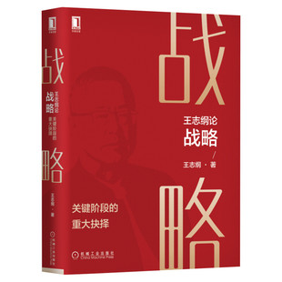 王志纲论战略:关键阶段的重大抉择 王志纲著 企业管理畅销书籍 战略认知战略分析战略制定战略实践 教你关键阶段如何抉择 新华正版