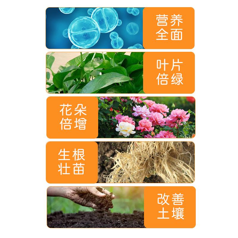 花伴水营养液植物通用发财树富贵竹绿萝水培盆栽园艺花卉绿植肥料