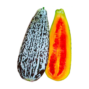 小花蜜古老甜瓜品种花皮羊角蜜香甜清脆如蜜珍稀水果种子庭院盆栽