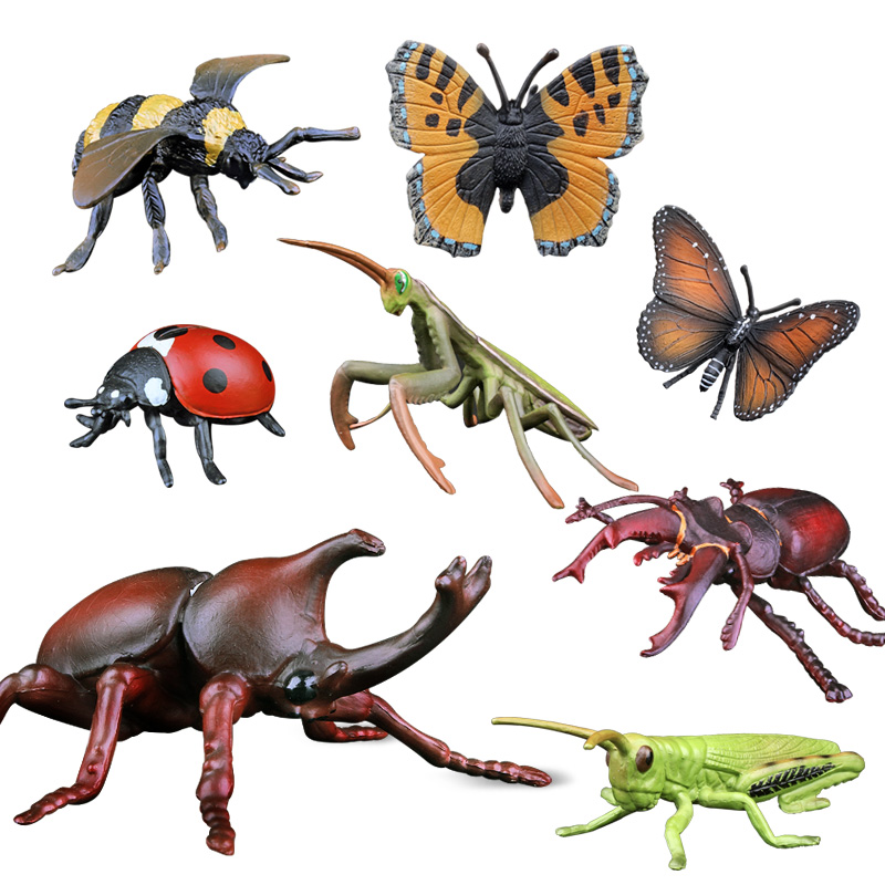 儿童仿真野生动物昆虫模型玩具蝴蝶蜜蜂草蜢螳螂蝎子独角仙瓢虫蝽