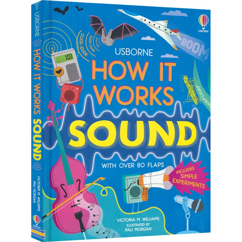 Usborne How It Works Sound  声音的工作原理 尤斯伯恩 少儿科普读物 翻翻页 全彩插图 6-9岁  英文原版进口图书