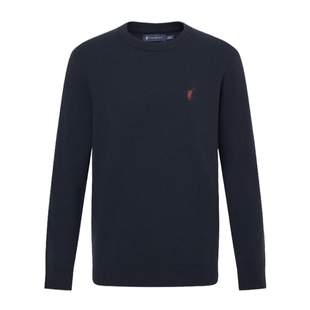 【100%绵羊毛】POLOWALK男式羊毛衫2025冬季新品圆领套头打底衣男