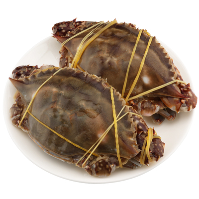 舟山白膏呛蟹整只咸蟹宁波梭子蟹鲜活野生腌制肉母蟹螃蟹即食炝蟹