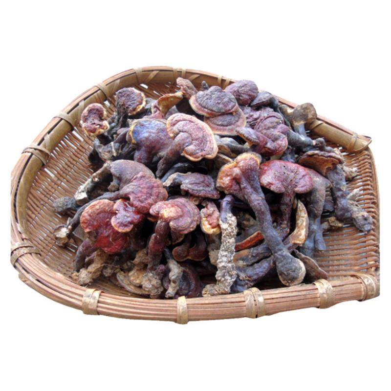 神农架纯野生赤灵林芝红芝血灵芝整只正品天然可打磨粉特级500克