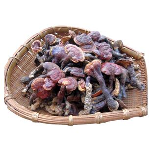 神农架纯野生赤灵林芝红芝血灵芝整只正品天然可打磨粉特级500克