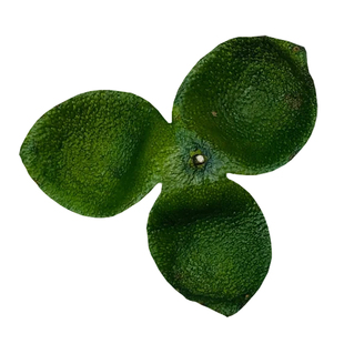 新会2025年广东特产陈皮青皮十年老树茶枝柑大红陈皮玫瑰花礼盒装