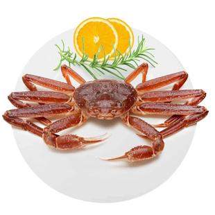 深海海捕松叶蟹新鲜鲜活冷冻整只俄罗斯进口大雪蟹长脚蟹板蟹商用