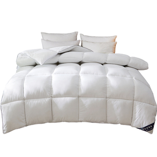 希尔顿逸林同款羽丝绒被被芯单人双人宿舍春秋被保暖冬被子加厚