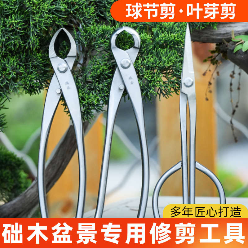 修枝剪球节剪盆景工具叶芽剪叉枝剪树瘤树节球形钳盆景造型工具剪