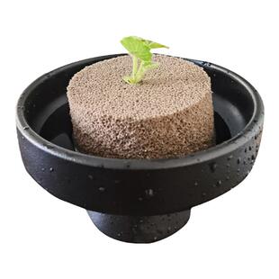 【Xponge科培基】无土多肉海绵水培基质懒人花盆代替水苔手工造型