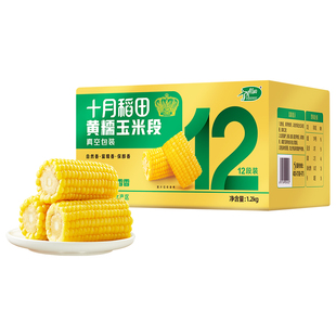 十月稻田黄糯玉米段东北玉米免切低脂粗粮粘糯玉米箱装独立真空装
