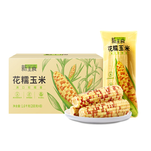新主良花糯玉米1.8kg穗真空包装东北黑土地北纬47新鲜玉米