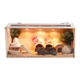 芦丁鸡宠物饲养箱卢丁专用育雏恒温箱鹦鹉鸡鹌鹑养殖箱幼鸟保温箱