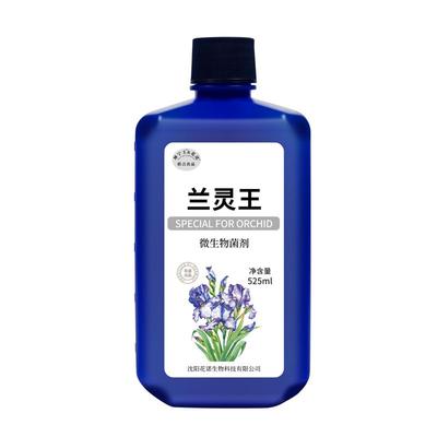 兰灵王兰花专用肥料微生物杀菌