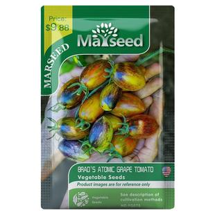 【掌柜推荐】野猪农场新品Brad's Atomic布拉德原子葡萄番茄种子