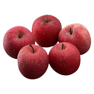 静宁苹果正宗甘肃现摘红富士水果脆甜不打蜡不催熟孕妇顺丰礼盒装