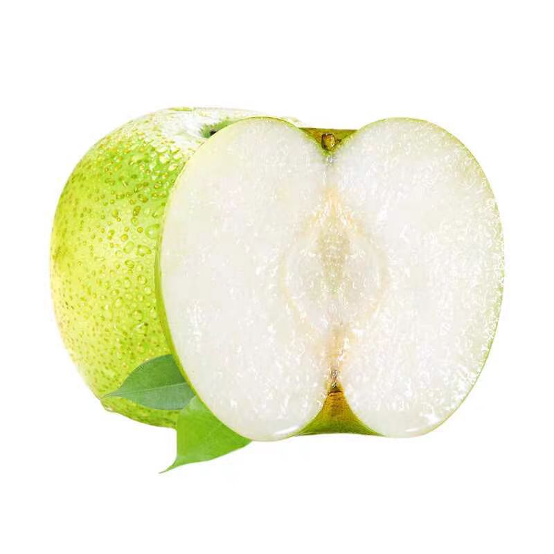 现摘现砀山青皮蜜梨翠冠梨
