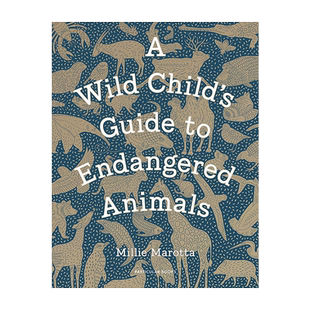 A Wild Child's Guide to Endangered Animals 野生动物指南 濒临灭绝的动物 英文原版 marotta millie 绘画画册画集科普 英语书籍