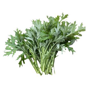 野生艾草新鲜食用艾叶白梗蒿子白蒿子青团清明团子糍粑清明草蒿菜