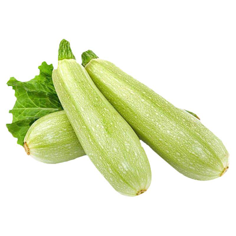 夏季专用西葫芦种子四季高产耐热秋季寿光蔬菜西胡芦种籽苗秧北瓜