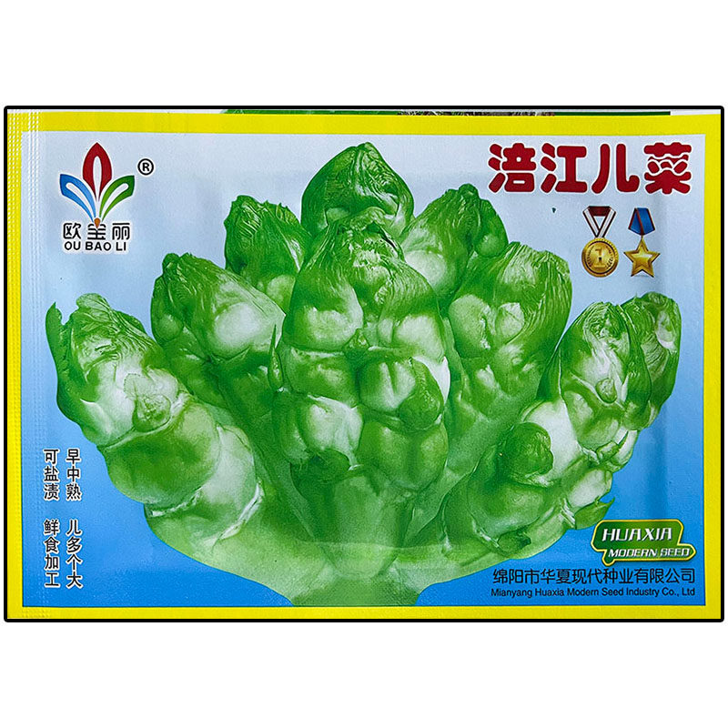 临江涪江儿菜儿子超生背儿抱儿娃娃菜母子芥菜榨菜泡菜酸菜种子籽