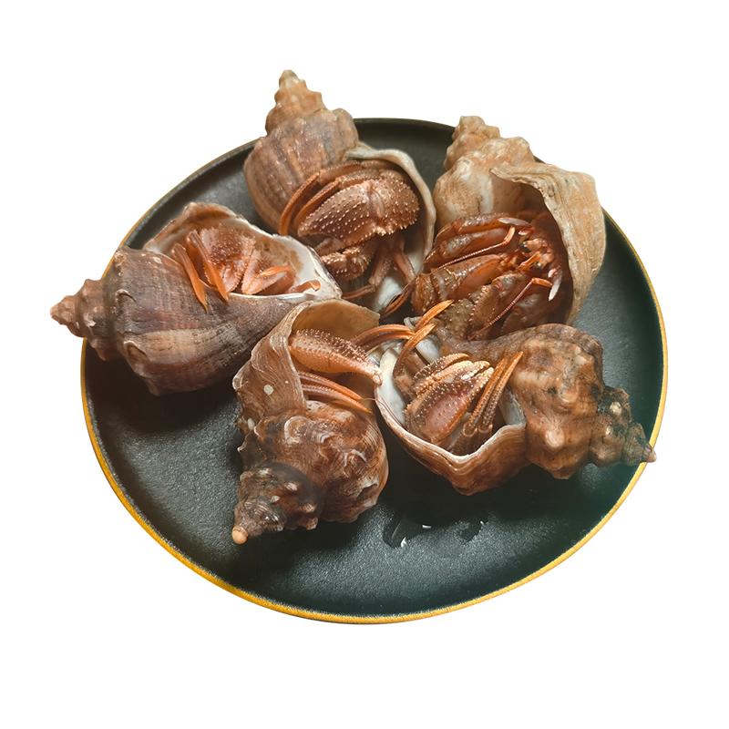 虾怪鲜活新鲜2斤带壳寄居蟹食用网红蟹大海怪海鲜水产