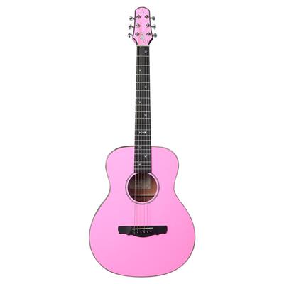 娜塔莎猫面背单加振吉他