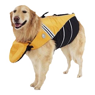 狗狗游泳衣泰迪衣服大型中型小型犬金毛萨摩宠物救生衣安全防溺水