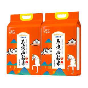 舶元马坝油粘米5kg广东特产丝苗米软糯弹牙煲仔饭用籼米地标认证