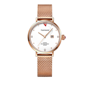 天王正品纸飞机女士手表时尚带日历手表女款米兰钢带机械表51140