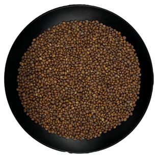 莱菔子中药材500g莱菔子茶来莱服子来福子萝卜籽子干非炒莱菔子粉