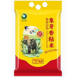 【广西壮乡】象牙香粘米油粘米长粒软香米新稻现磨象州大米香米
