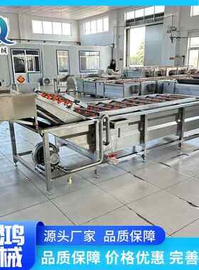 商用蔬菜气泡清洗机 大型果蔬去泥鼓泡清洗设备 海带豆芽清洗设备