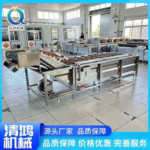 商用蔬菜气泡清洗机 大型果蔬去泥鼓泡清洗设备 海带豆芽清洗设备