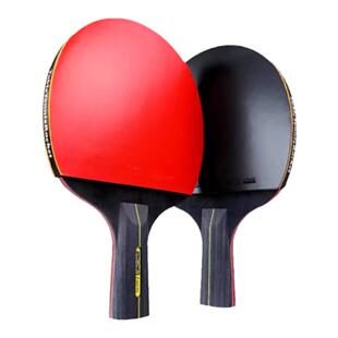 乒乓球拍五六星专业级实木板长柄套装横拍直拍双面反胶高弹力双拍