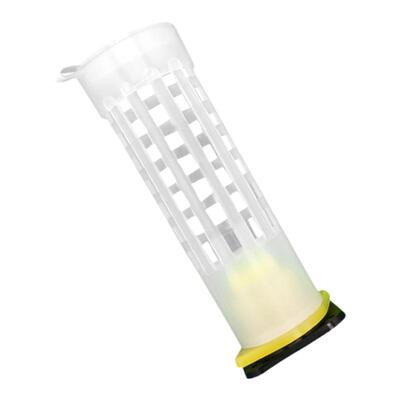 王台保护罩多功能防咬王笼护台中蜂育王台保护工具王台基囚王控王