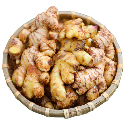 云贵川新鲜品质小黄姜