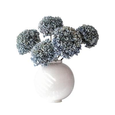 天然侘寂中古森系自然干花