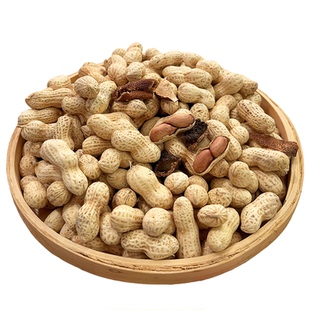 龙岩花生水煮陈皮味山核桃小珍珠花生晒干带壳炒货零食散装批发