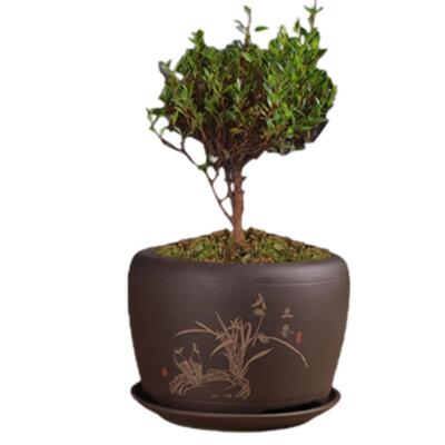 陶瓷紫砂简约大气透气性强