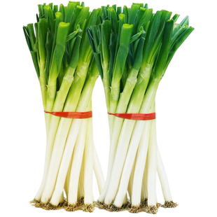 2025头茬大葱原汁原味正宗精品铁杆大葱农家现挖现发新鲜脆嫩