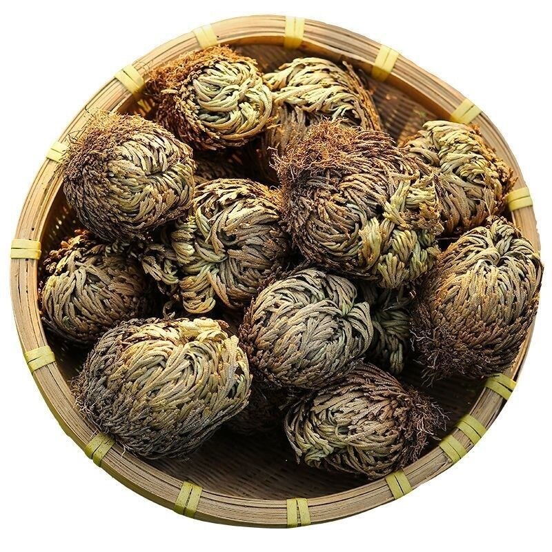 九死还魂草卷柏干货中草药复活草盆栽遇水就活可药用无硫药材