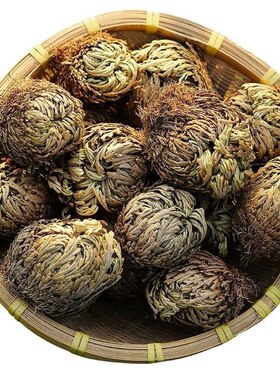 九死还魂草卷柏野生干货中草药复活草盆栽遇水就活可药用无硫药材
